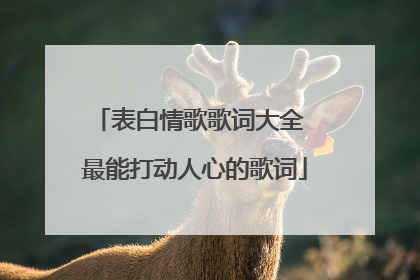表白情歌歌词大全 最能打动人心的歌词