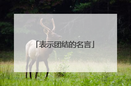 表示团结的名言