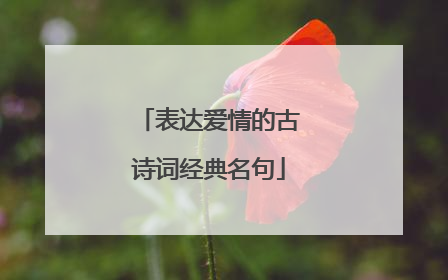 表达爱情的古诗词经典名句