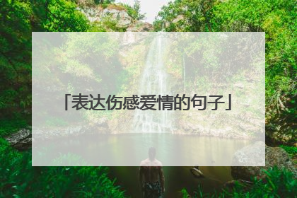 表达伤感爱情的句子