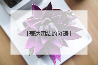 表达团结的谚语
