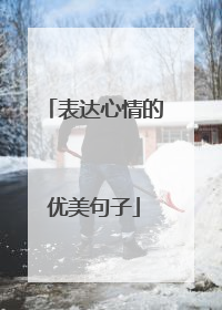 表达心情的优美句子