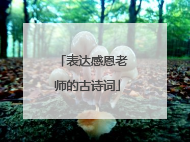 表达感恩老师的古诗词