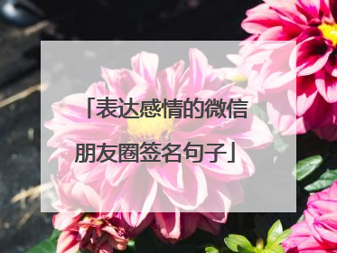 表达感情的微信朋友圈签名句子
