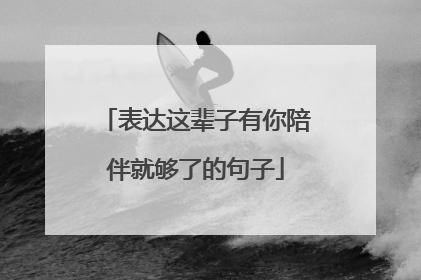 表达这辈子有你陪伴就够了的句子