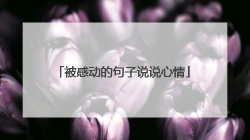 被感动的句子说说心情