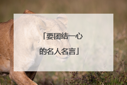 要团结一心的名人名言
