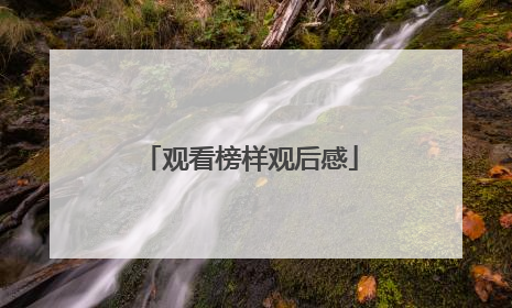 观看榜样观后感