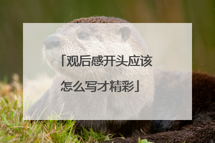 观后感开头应该怎么写才精彩