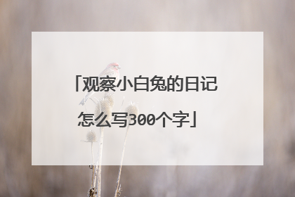 观察小白兔的日记怎么写300个字