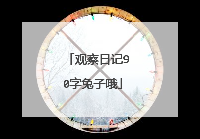 观察日记90字兔子哦