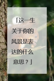 这一生关于你的风景是表达的什么意思？