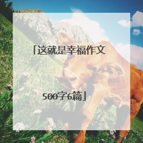 这就是幸福作文500字6篇
