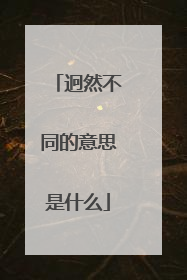 迥然不同的意思是什么