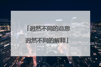 迥然不同的意思 迥然不同的解释