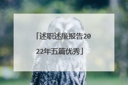 述职述廉报告2022年五篇优秀