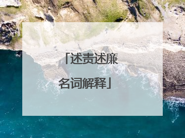 述责述廉名词解释