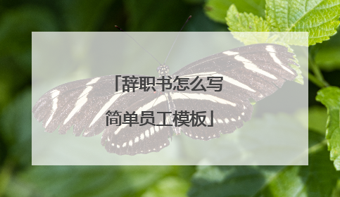 辞职书怎么写简单员工模板