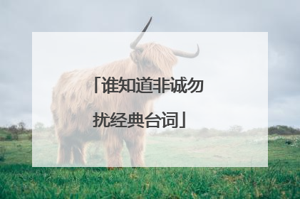 谁知道非诚勿扰经典台词