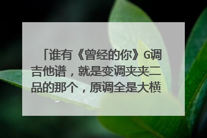 谁有《曾经的你》G调吉他谱，就是变调夹夹二品的那个，原调全是大横按，本人暂时功力不够。本人必定重谢