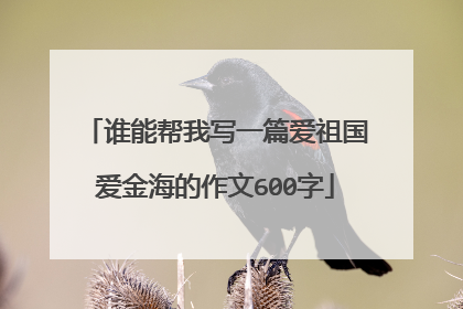 谁能帮我写一篇爱祖国爱金海的作文600字