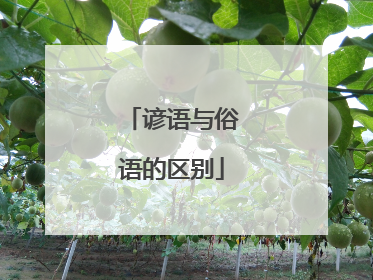 谚语与俗语的区别