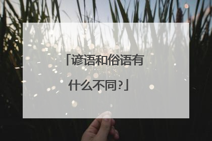 谚语和俗语有什么不同?
