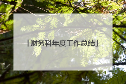 财务科年度工作总结