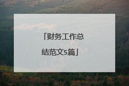 财务工作总结范文5篇