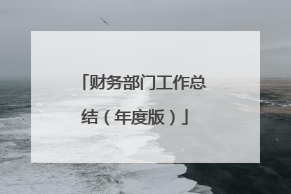 财务部门工作总结（年度版）