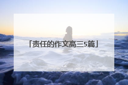 责任的作文高三5篇