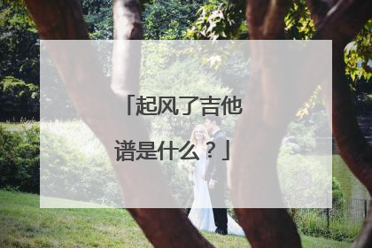 起风了吉他谱是什么？
