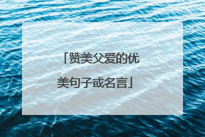 赞美父爱的优美句子或名言
