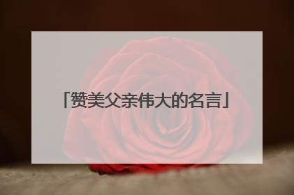 赞美父亲伟大的名言