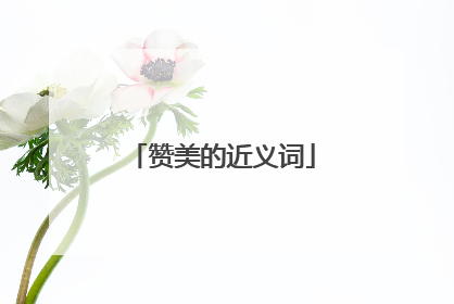 赞美的近义词