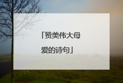 赞美伟大母爱的诗句