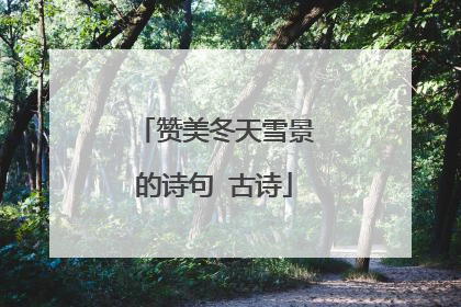 赞美冬天雪景的诗句 古诗