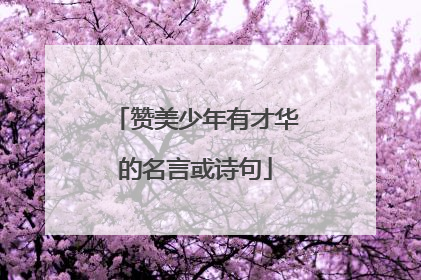 赞美少年有才华的名言或诗句