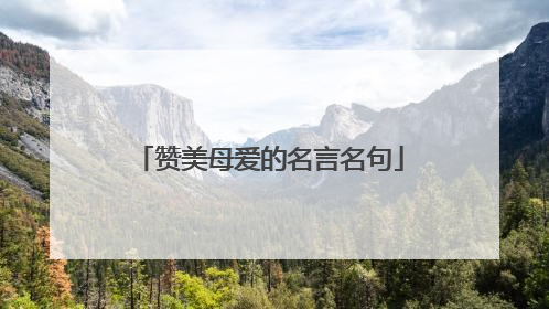 赞美母爱的名言名句