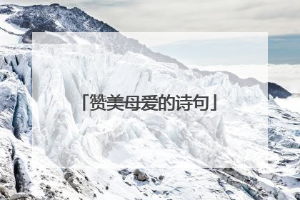 赞美母爱的诗句