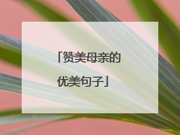 赞美母亲的优美句子