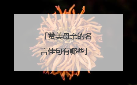 赞美母亲的名言佳句有哪些