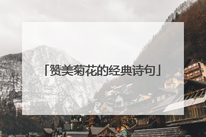 赞美菊花的经典诗句