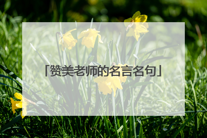 赞美老师的名言名句