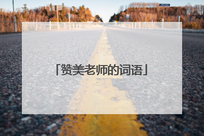 赞美老师的词语
