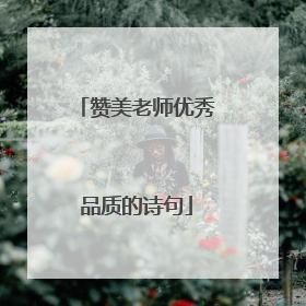 赞美老师优秀品质的诗句