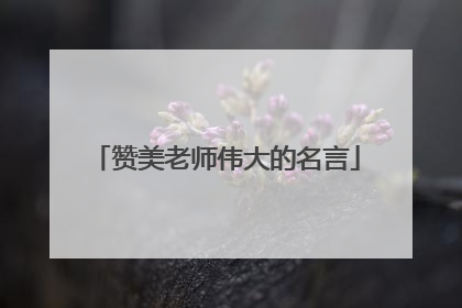 赞美老师伟大的名言