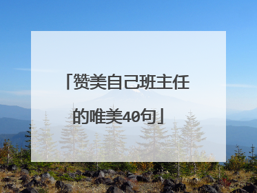 赞美自己班主任的唯美40句