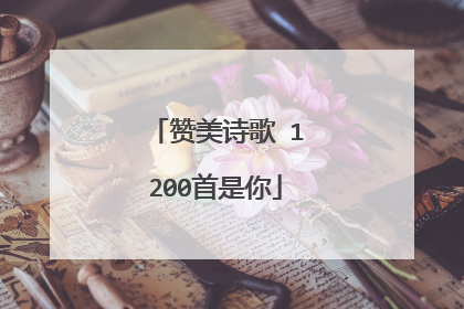 赞美诗歌 1200首是你