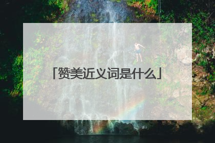 赞美近义词是什么